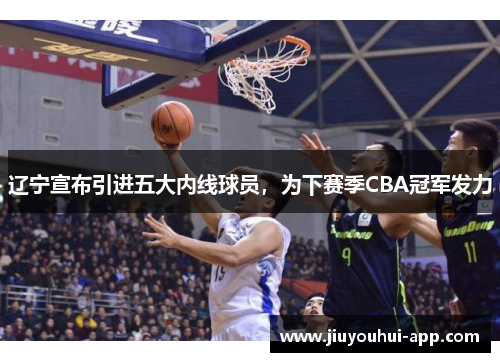 辽宁宣布引进五大内线球员，为下赛季CBA冠军发力